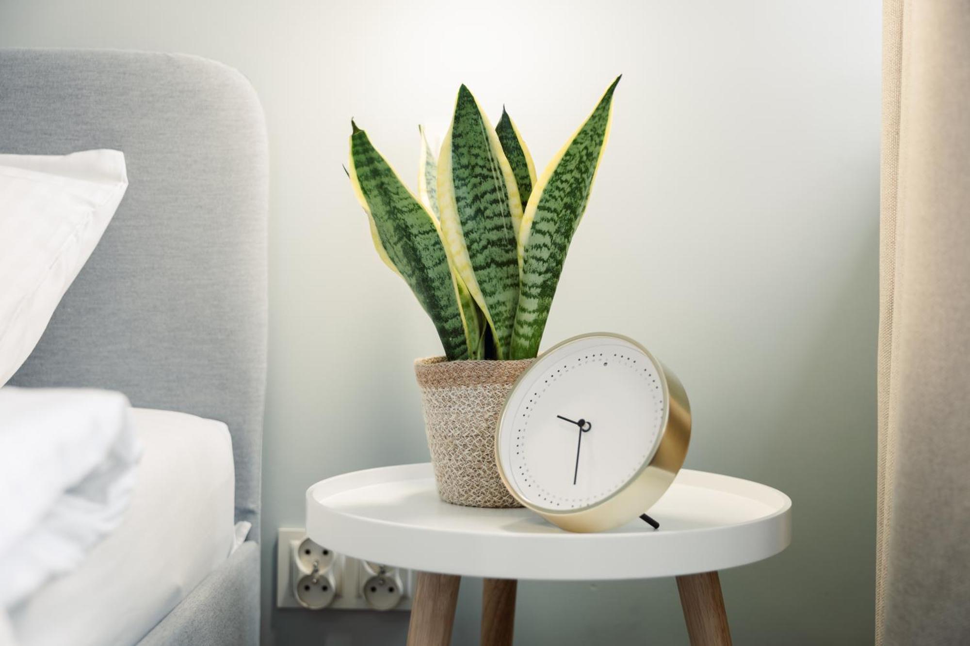 Apartament Szczerbowskiego A 卢布林 外观 照片